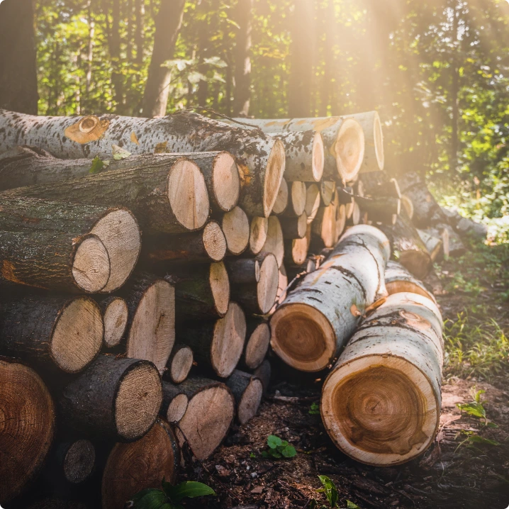 Effektiv gallring av skog i Ljusdal och Gävleborgs län