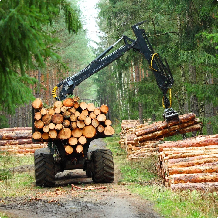 Effektiv gallring av skog i Ljusdal och Gävleborgs län